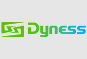 Dyness