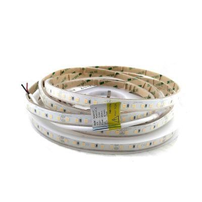 LED лента Теплая белая 8,6Вт 24V 2700R RD11C0TC-B CRI80 (14273) 693Lm, герметичная IP 68 RISHANG 14273SV фото