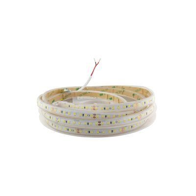 LED лента Теплая белая 9,6Вт 24V 2700 (128) RV30C8TC-A (19142) 1515Lm, герметичная IP 67 RISHANG 19142SV фото